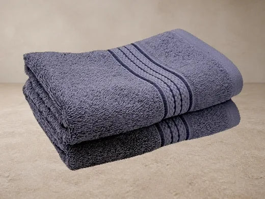 Raaya CloudSoft Graphite Lilac Hand Towel Pair