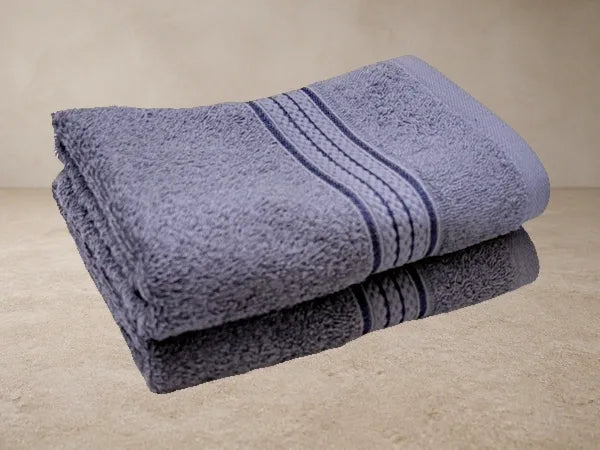 Raaya CloudSoft Lavender Grey Hand Towel Pair